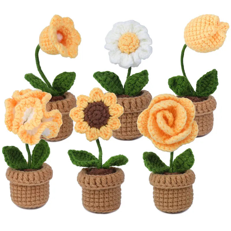 KRABALL 6Pcs Crochet Potted Flower Kit | Beginner DIY Yarn Craft Set with Tutorial