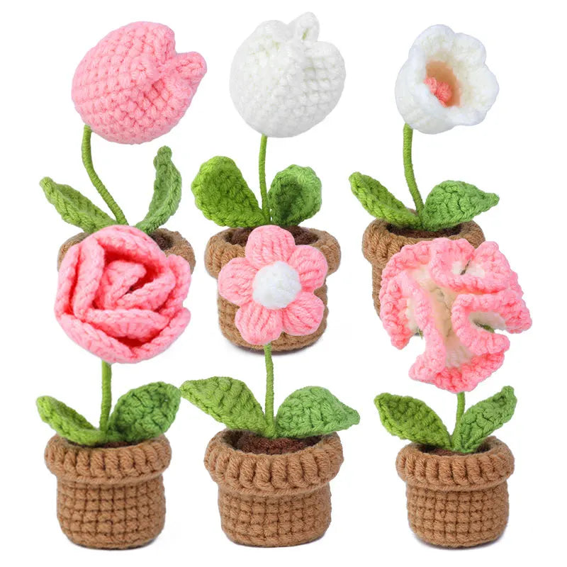 KRABALL 6Pcs Crochet Potted Flower Kit | Beginner DIY Yarn Craft Set with Tutorial