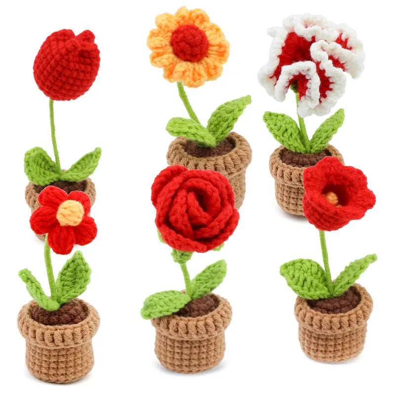 KRABALL 6Pcs Crochet Potted Flower Kit | Beginner DIY Yarn Craft Set with Tutorial